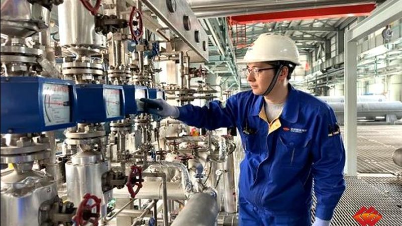 精油蒸馏设备代理条件：揭秘行业准入门槛